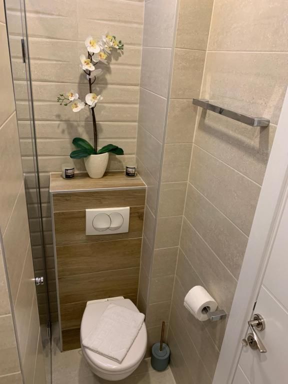 Апартаменты Butterfly Apartman Рафаиловичи-56